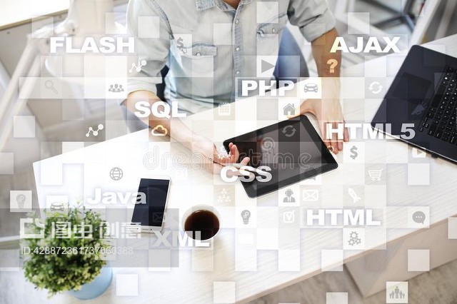 互联网网络技术开发 连接、编程与未来