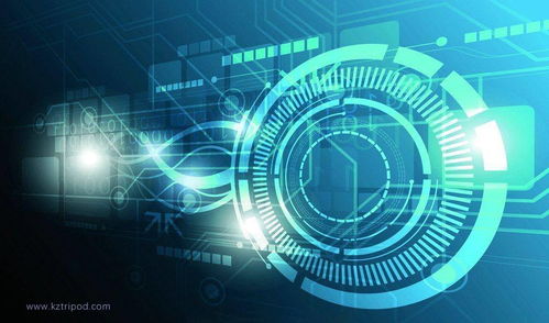 虹膜识别技术与互联网网络技术开发的融合与应用